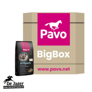 BigBox Allsports