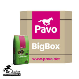 BigBox Condition