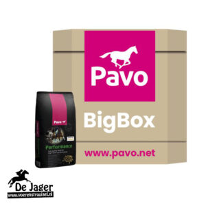 BigBox Performance