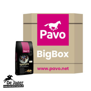 BigBox SportsFit