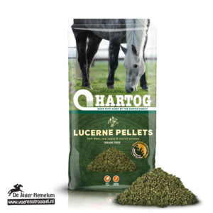 Hartog Lucernebrok