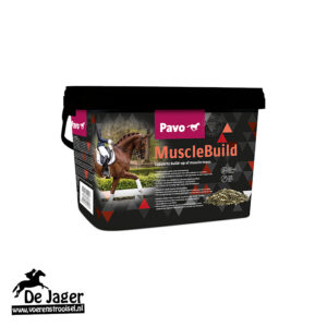 MuscleBuild