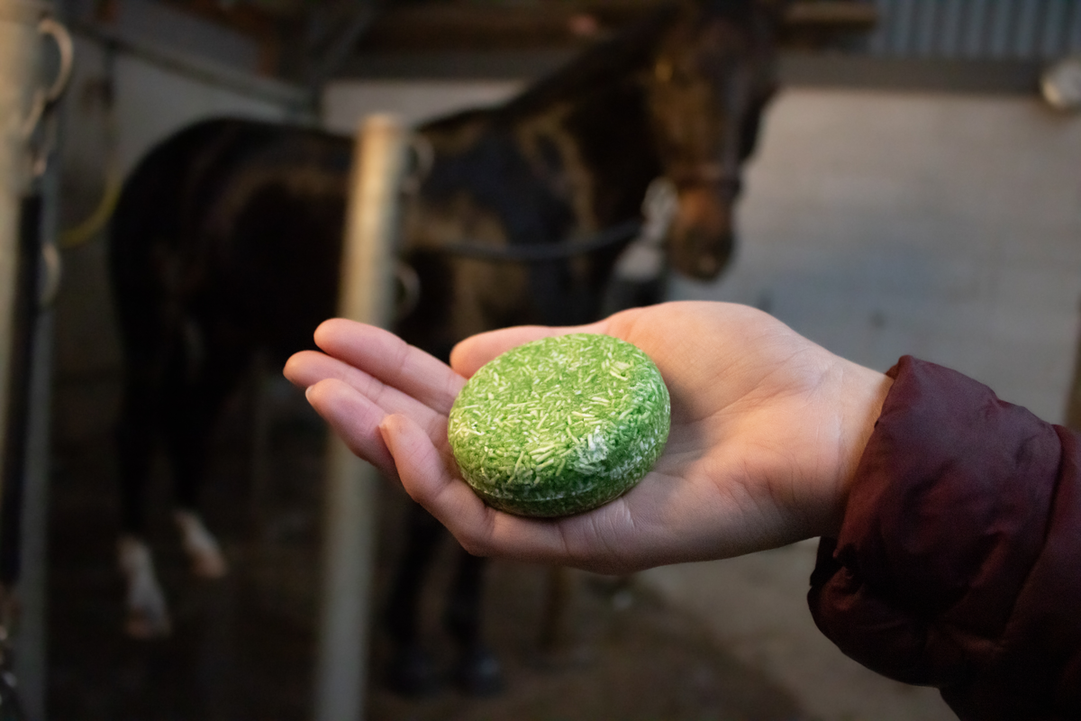 Excellent Horse Hi Gloss Shampoo bar Appel - Afbeelding 7