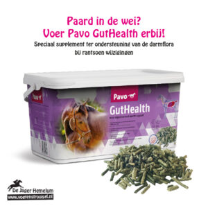 GutHealth