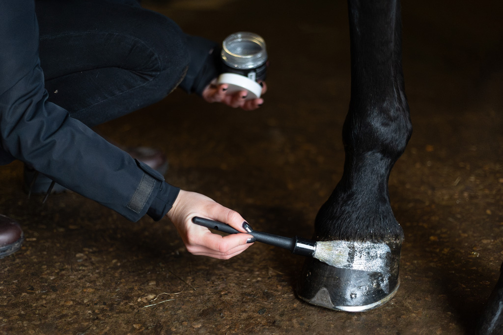 Excellent Horse Hi Gloss Glitter hoeflak - Zilver - Afbeelding 3