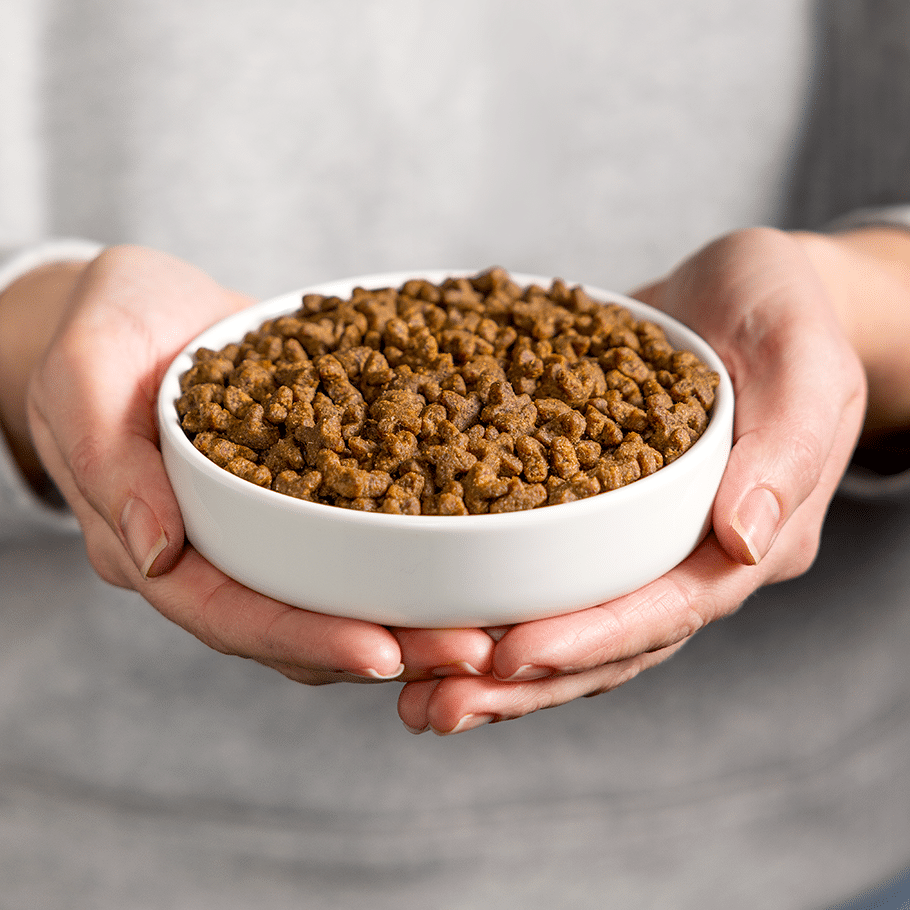 Smølke Adult met vis 10 kg - Afbeelding 7