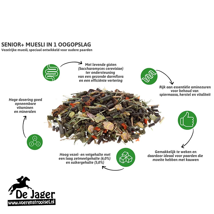 Infographic for SENIOR+ MUESLI IN 1 OOGOPSLAG: central pile of muesli with green icons and Dutch labels highlighting fiber, vitamins, gut health, essential amino acids, and ease of chewing; De Jaer logo bottom-left.
